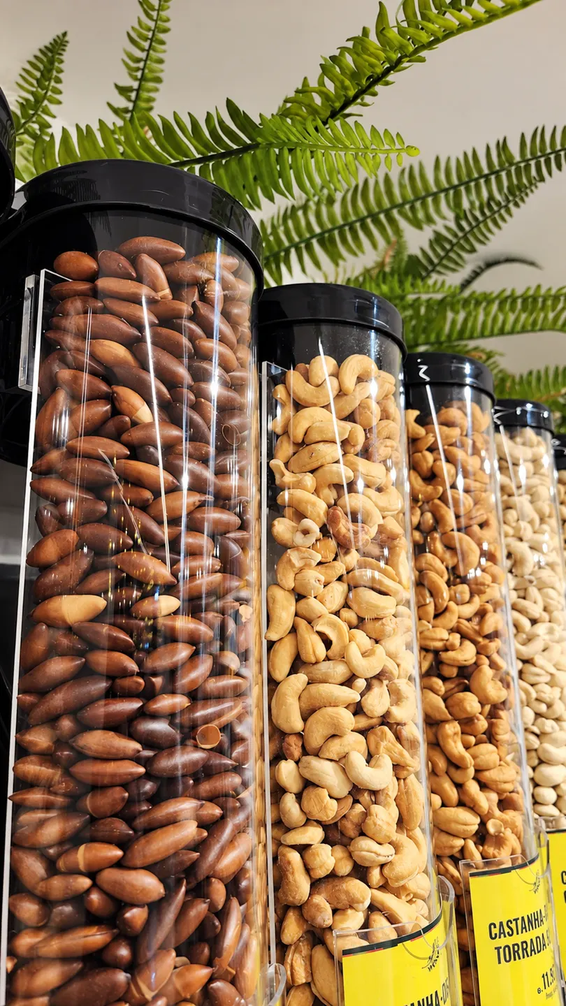 Castanhas em dispensers de granel sob folhas de samambaia na Terra Madre